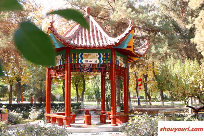 云南医药健康职业学院2024年在江西录取分数线、对应位次（附近几年最低录取分数线及位次排名）
