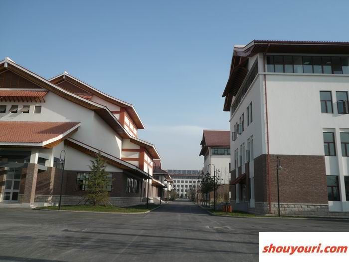中国石油大学（华东）2024年在山东录取分数线、对应位次（附近几年最低录取分数线及位次排名）