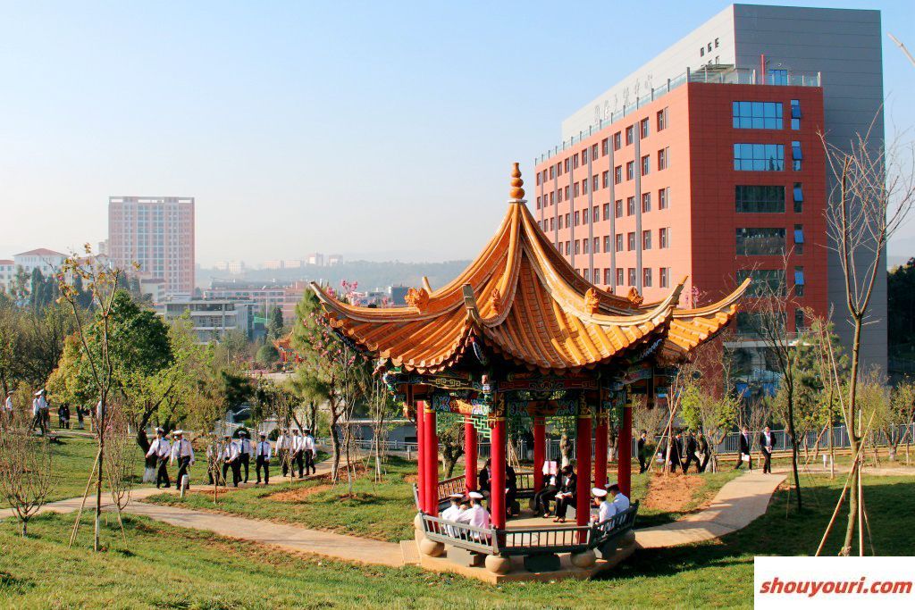 2024年天津大学在山东录取分数线（附近几年最低位次排名）