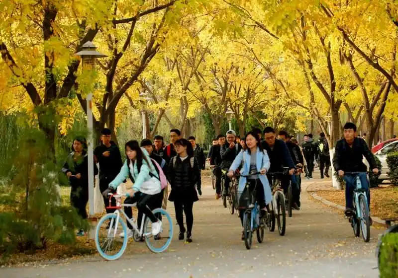2024年中国矿业大学在云南录取分数线（附近几年最低位次排名）