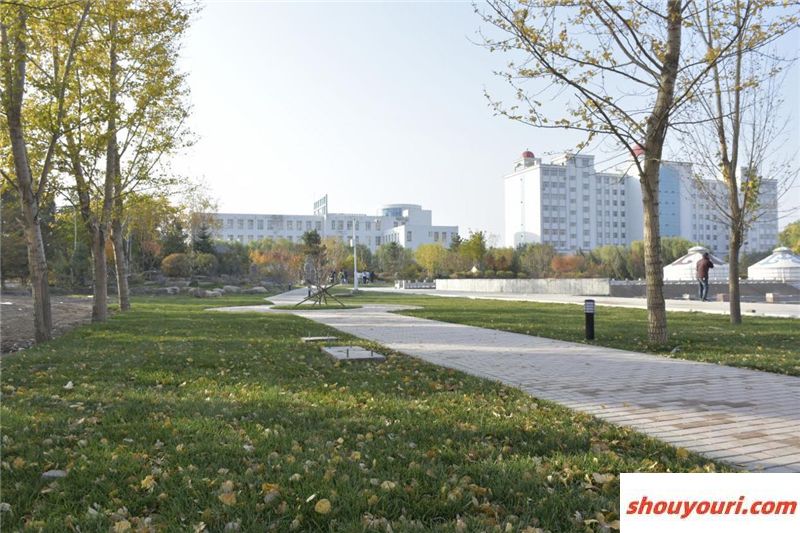 2024年重庆医科大学在河北录取分数线（附近几年最低位次排名）(图1)
