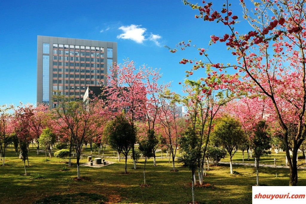 山东位次排名多少能上浙江交通职业技术学院？附2022-2024年专业录取最低分及位次(图1)