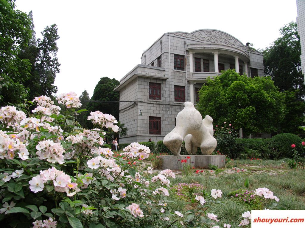 东华大学2024年在贵州各专业录取分数线（附院校录取分数线录取位次）(图1)