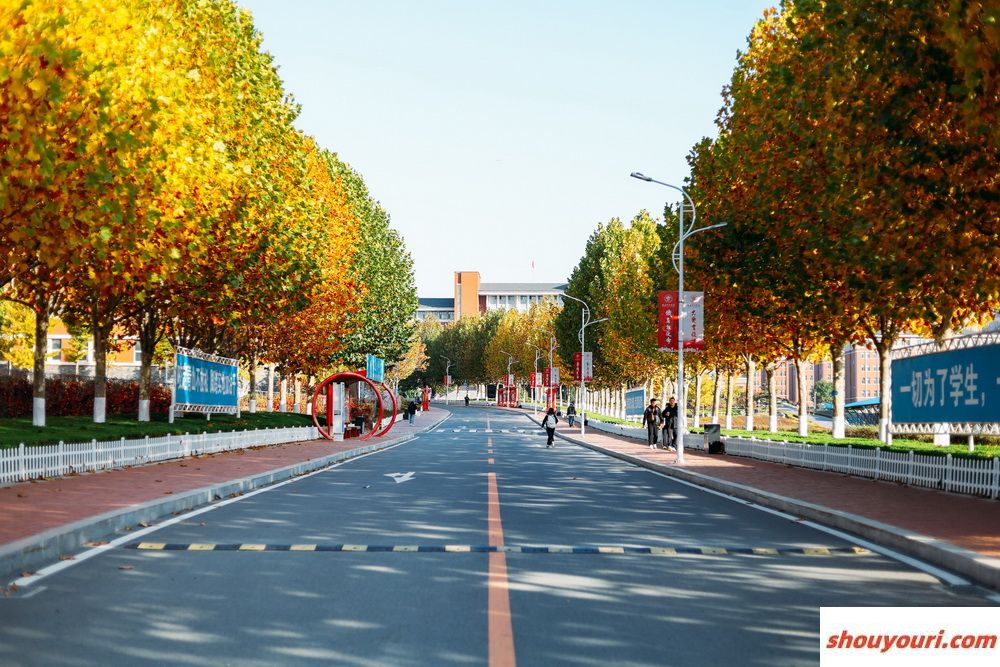 东华理工大学2024年在江西录取分数线、对应位次（附近几年最低录取分数线及位次排名）(图1)